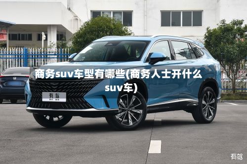 商务suv车型有哪些(商务人士开什么suv车)-第3张图片