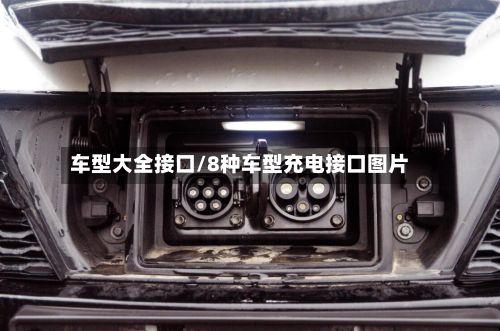 车型大全接口/8种车型充电接口图片-第2张图片