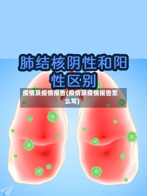 疫情及疫情报告(疫情及疫情报告怎么写)-第3张图片