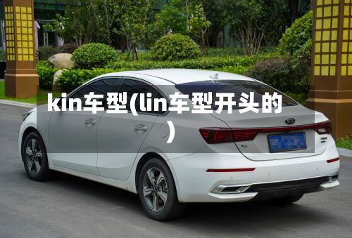 kin车型(lin车型开头的)