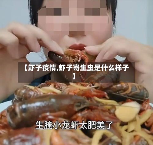 【虾子疫情,虾子寄生虫是什么样子】-第2张图片