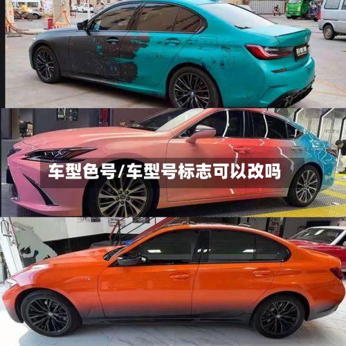 车型色号/车型号标志可以改吗