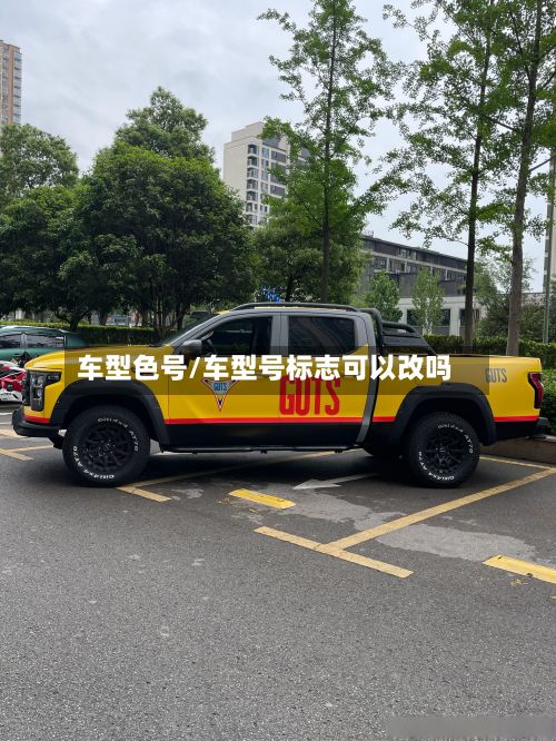 车型色号/车型号标志可以改吗-第2张图片