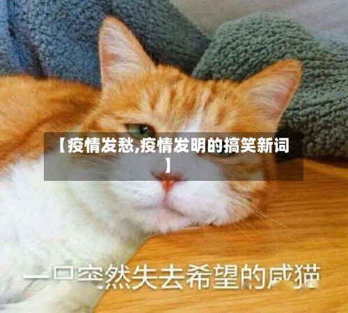 【疫情发愁,疫情发明的搞笑新词】-第3张图片