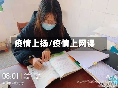 疫情上扬/疫情上网课-第2张图片