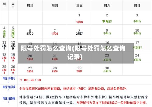限号处罚怎么查询(限号处罚怎么查询记录)