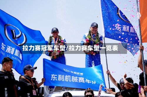 拉力赛冠军车型/拉力赛车型一览表-第3张图片