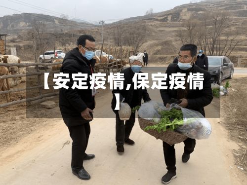【安定疫情,保定疫情】-第3张图片