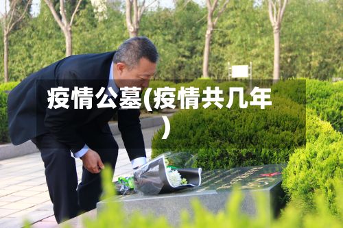疫情公墓(疫情共几年)-第3张图片