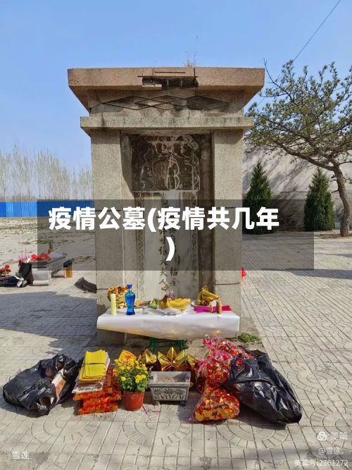 疫情公墓(疫情共几年)