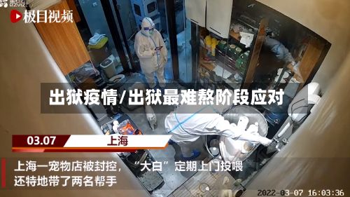 出狱疫情/出狱最难熬阶段应对