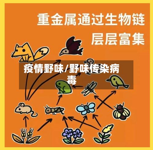 疫情野味/野味传染病毒-第2张图片