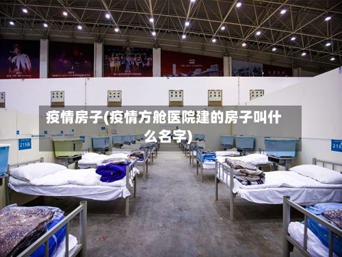 疫情房子(疫情方舱医院建的房子叫什么名字)-第2张图片