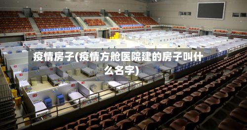 疫情房子(疫情方舱医院建的房子叫什么名字)