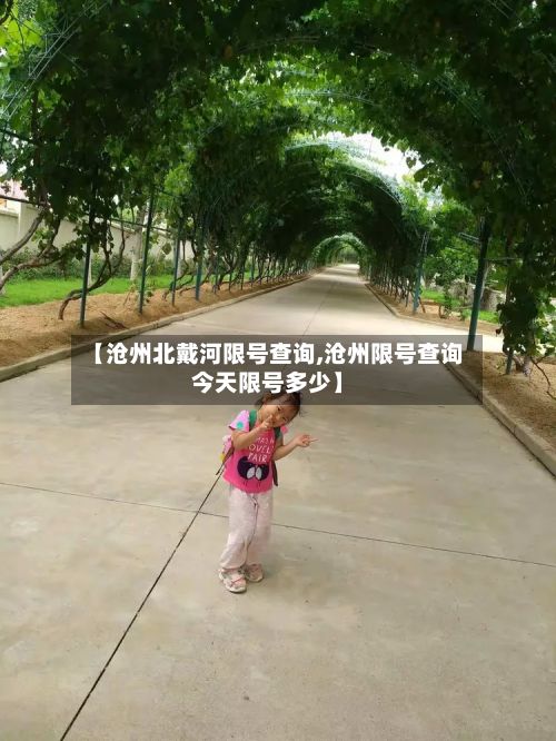 【沧州北戴河限号查询,沧州限号查询今天限号多少】