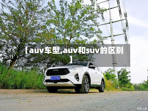 【auv车型,auv和suv的区别】