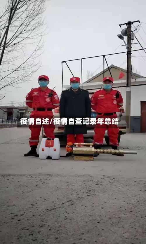 疫情自述/疫情自查记录年总结