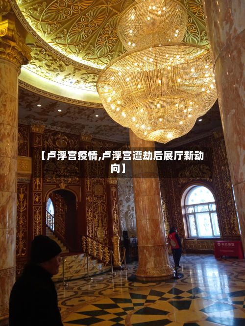 【卢浮宫疫情,卢浮宫遭劫后展厅新动向】-第2张图片