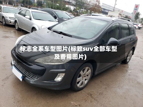 标志全系车型图片(标致suv全部车型及费用图片)-第3张图片