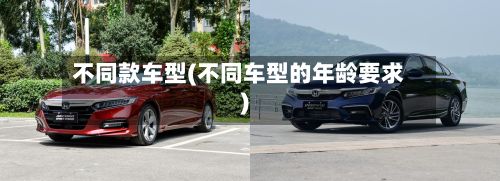 不同款车型(不同车型的年龄要求)
