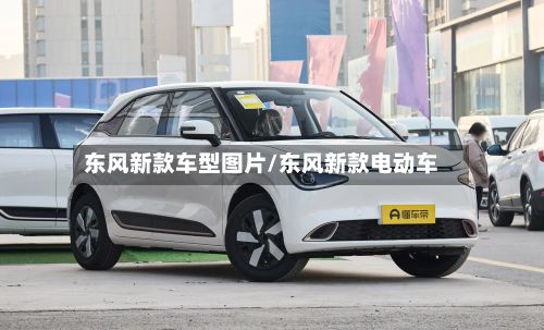 东风新款车型图片/东风新款电动车-第3张图片