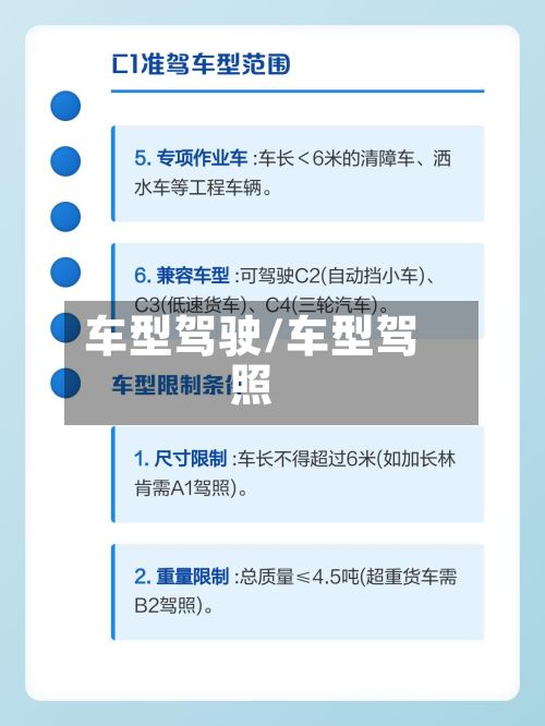 车型驾驶/车型驾照