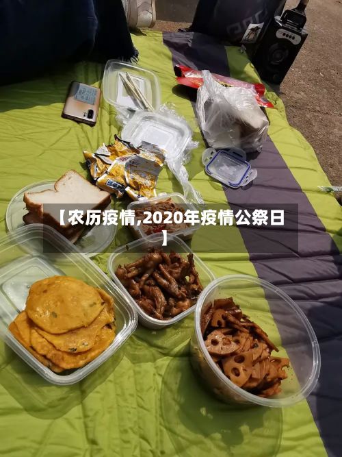 【农历疫情,2020年疫情公祭日】-第2张图片