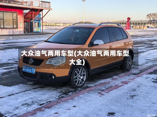 大众油气两用车型(大众油气两用车型大全)