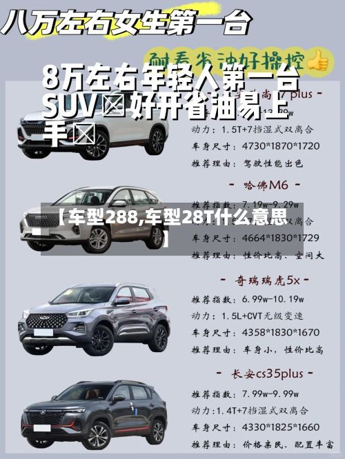 【车型288,车型28T什么意思】