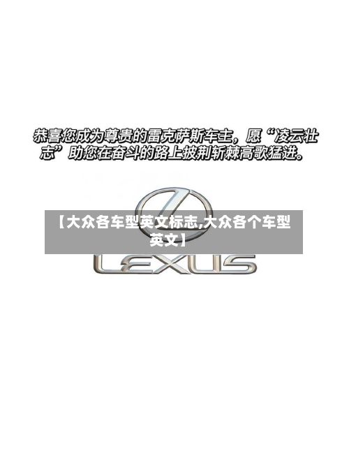 【大众各车型英文标志,大众各个车型英文】-第3张图片