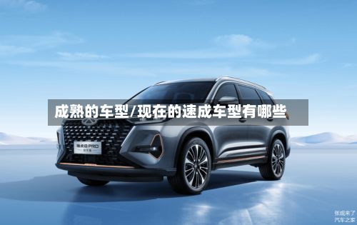 成熟的车型/现在的速成车型有哪些-第2张图片