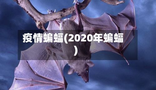 疫情蝙蝠(2020年蝙蝠)