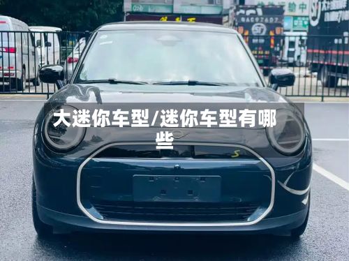 大迷你车型/迷你车型有哪些