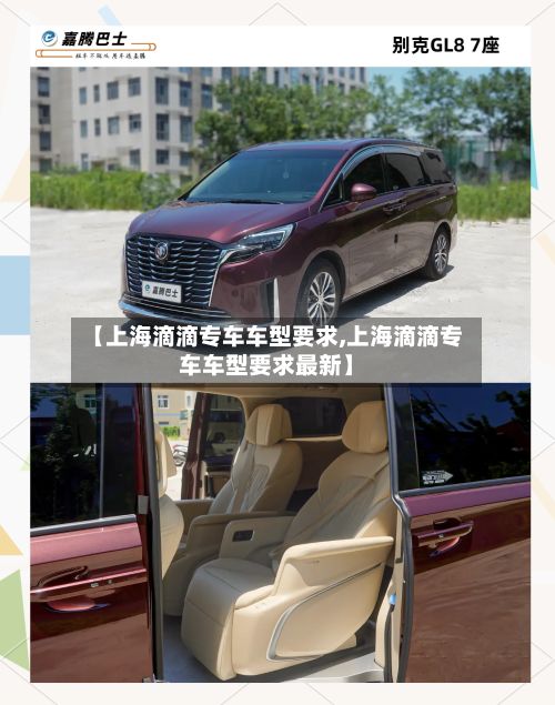 【上海滴滴专车车型要求,上海滴滴专车车型要求最新】