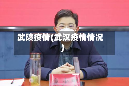 武陵疫情(武汉疫情情况)-第2张图片