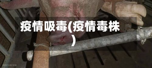 疫情吸毒(疫情毒株)-第3张图片