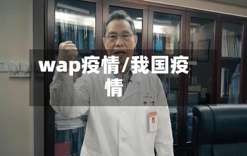 wap疫情/我国疫情-第2张图片