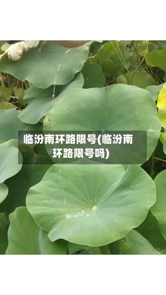 临汾南环路限号(临汾南环路限号吗)