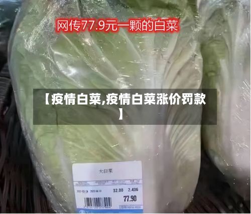 【疫情白菜,疫情白菜涨价罚款】-第2张图片