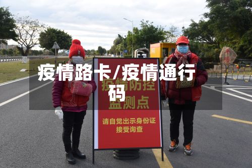 疫情路卡/疫情通行码-第2张图片