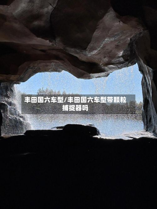 丰田国六车型/丰田国六车型带颗粒捕捉器吗