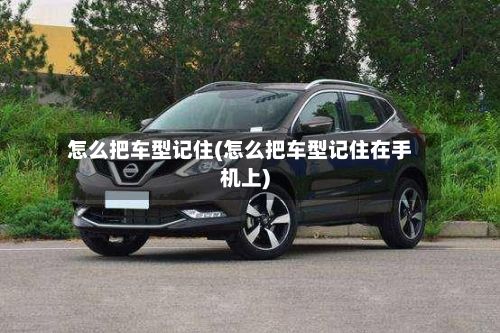 怎么把车型记住(怎么把车型记住在手机上)-第3张图片