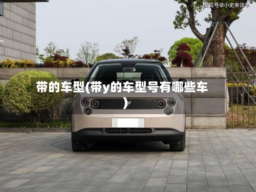 带的车型(带y的车型号有哪些车)-第3张图片