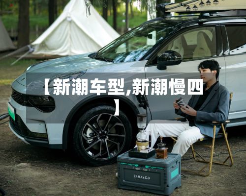 【新潮车型,新潮慢四】