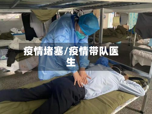 疫情堵塞/疫情带队医生-第2张图片