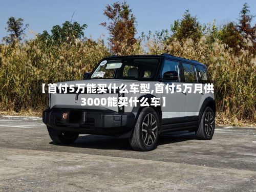 【首付5万能买什么车型,首付5万月供3000能买什么车】-第2张图片