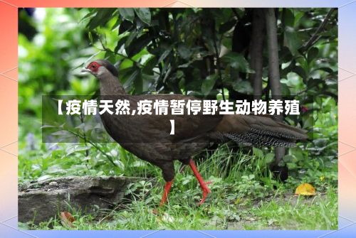 【疫情天然,疫情暂停野生动物养殖】-第3张图片
