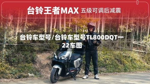 台铃车型号/台铃车型号TL800DQT一22车图