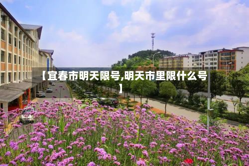 【宜春市明天限号,明天市里限什么号】-第3张图片