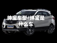 绅宝车型/绅宝是什么车